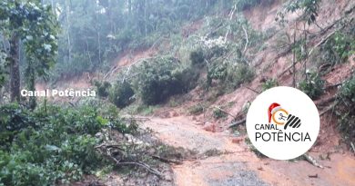 DANOS CAUSADOS POR FORTE CHUVA PARALISA O ESCOAMENTO DE AMEIXAS EM PASSA QUATRO