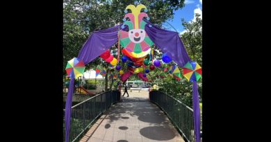 CENTRO TURÍSTICO DE SÃO LOURENÇO JÁ ESTÁ EM CLIMA DE CARNAVAL