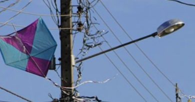PIPAS CAUSAM MAIS DE 3,5 MIL INTERRUPÇÕES DE ENERGIA EM MG